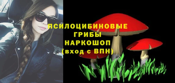 твердый Алексин