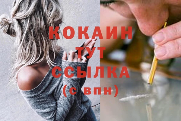 соль курить ск Алзамай