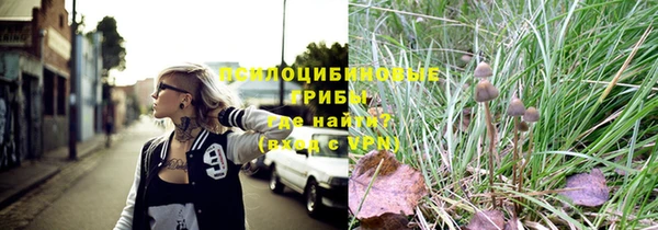 твердый Алексин