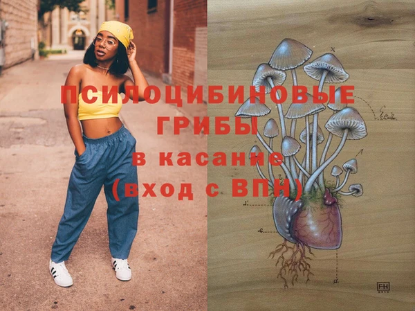соль курить ск Алзамай