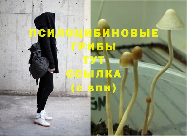 соль курить ск Алзамай