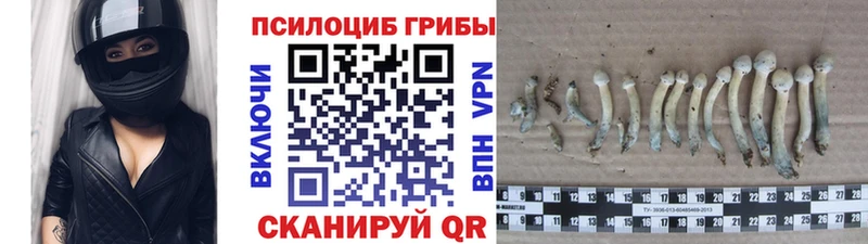 KRAKEN маркетплейс Алупка Псилоцибиновые грибы Psilocybine cubensis